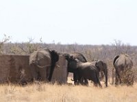 Marion, Romane South Africa 2014 (16 of 19) : KNP Pharlaborwa, Marion visit